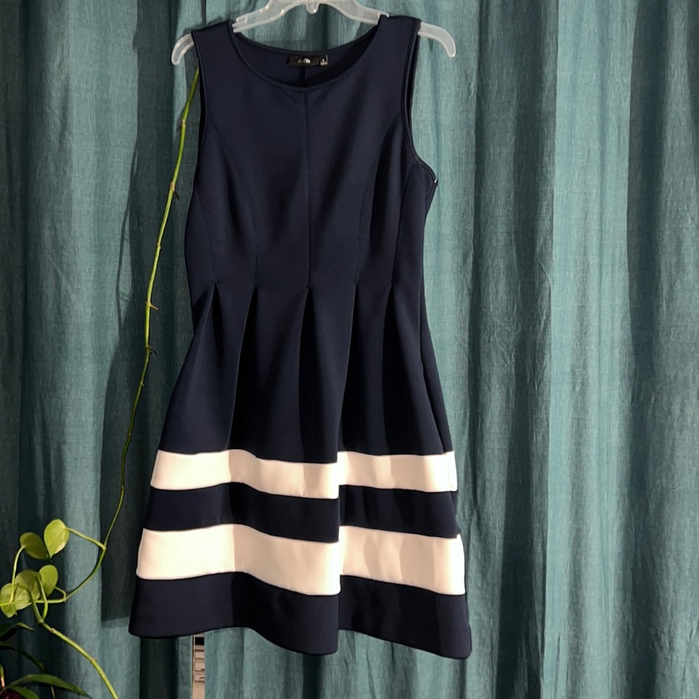 Navy Blue and White Dress